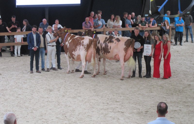 De kampioen bij de oudere koeien: Bontje 350.