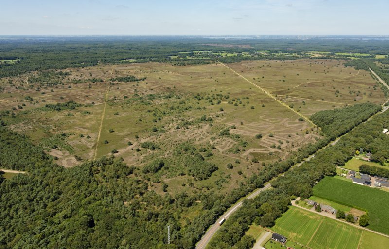 Het Speulderbos & Houtdorperveld is een van de grootste heidevelden in Nederland en is onderdeel van het Nationaal Park De Hoge Veluwe.