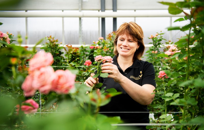 ‘Op een of andere manier vinden wij veel mutaties in de rozen', zegt Linda Hafmans-van der Hulst.