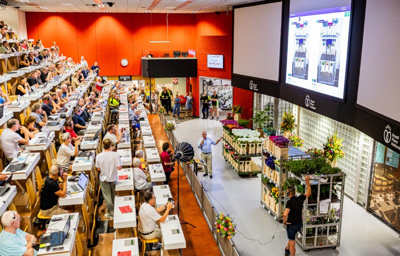 Op de laatste veildag van Royal FloraHolland in Eelde zijn 174 stapelwagens met bloemen vermarkt.