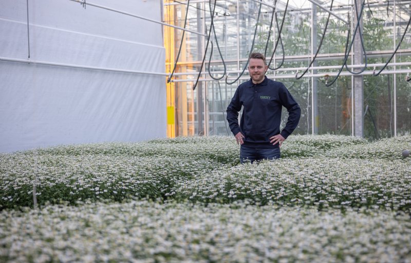 Jasper Schermer, onderzoeker bij Vertify in Zwaagdijk.