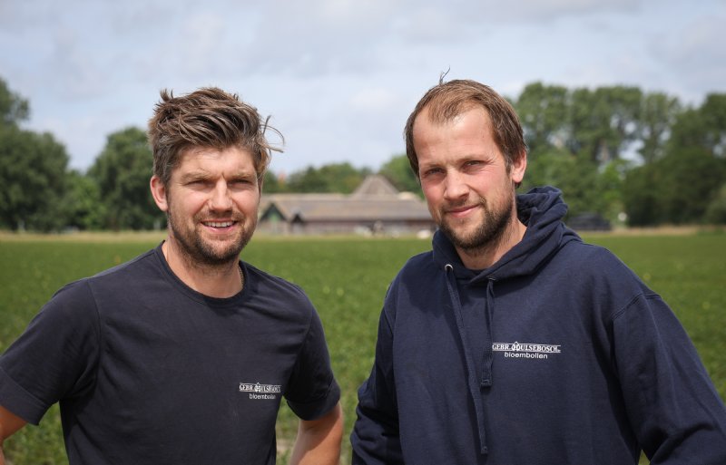 De neven Nick en Ron Hulsebosch, bloembollenkwekers in Schagerbrug.