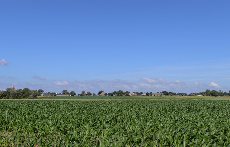 De boerderij van de familie Klaver ligt in glooiend landschap, lager dan het dorp Oosterland.