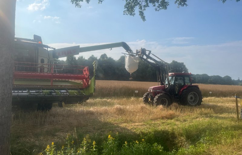 Bij de rassenproef van Colzaco werd het zaad van ieder ras afzonderlijk gelost in een big bag.
