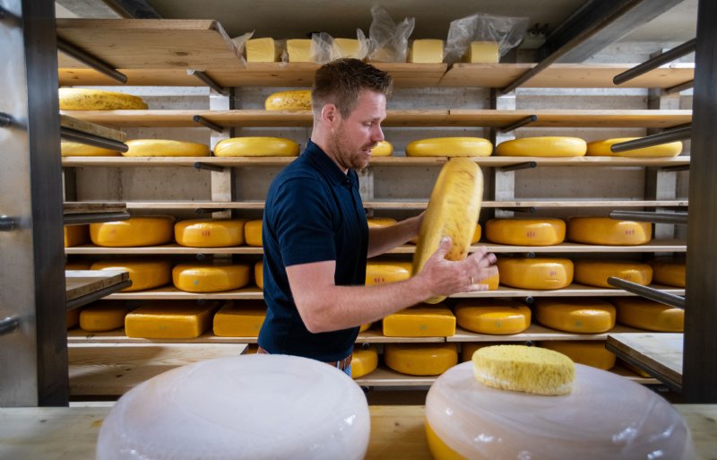 Kaas van de eigen Jersey-koeien is het nieuwste product van Boerderij ’t Nije Hoff.