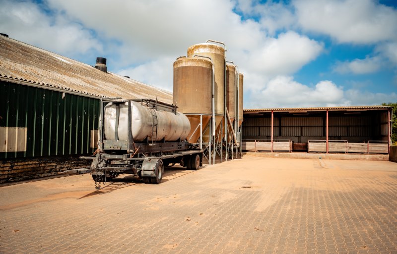 Varkens drinken kaaswei van Texel en eten voer van het vasteland.