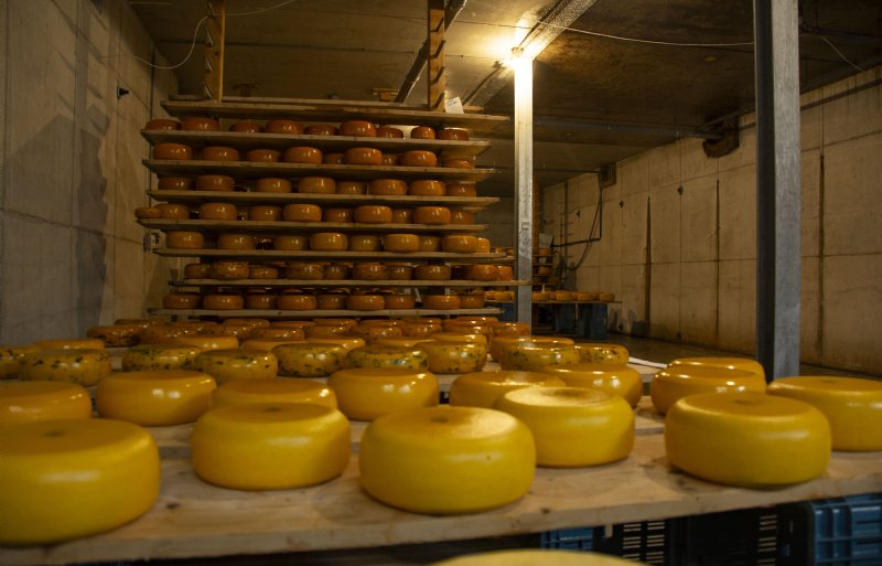 In een van de betonnen drijflichamen van de boerderij wordt kaas gemaakt.