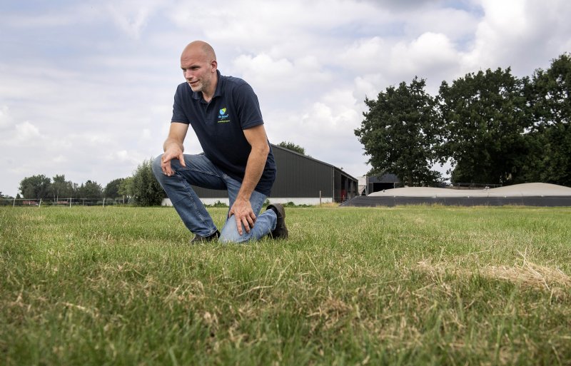 Job van de Water inspecteert zijn grasland. Op de achtergrond de opslag van dunne mest en renure.