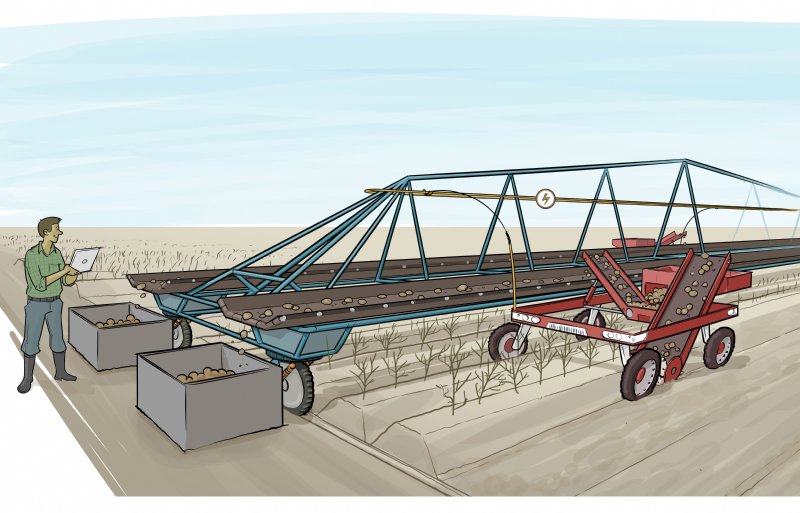 Over de drager lopen transportbanden die producten afvoeren.