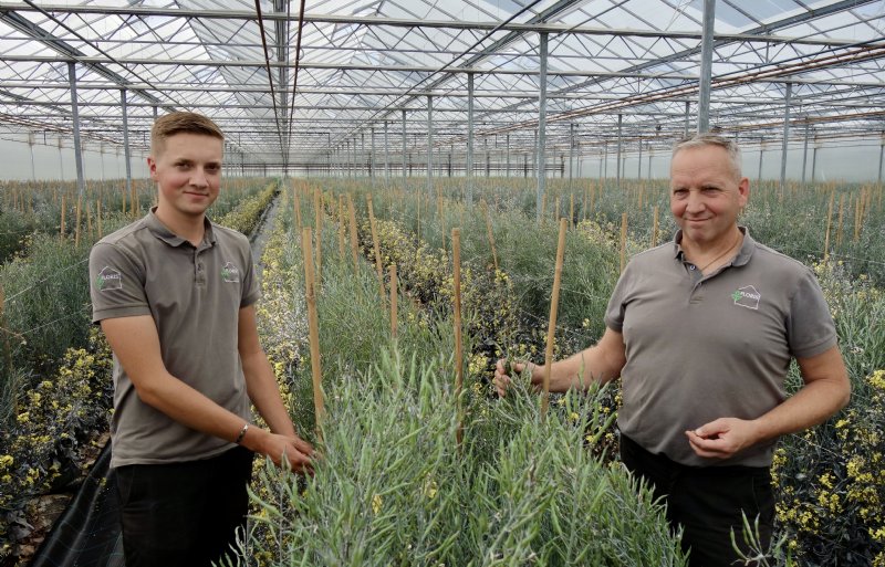 Zaadtelers Bastiaan en Timo Borst van Floris Sexbierum