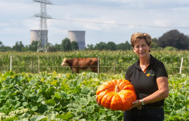Petra Theunissen organiseert sinds 2008 jaarlijks de Pompoendagen, inmiddels voor meer dan drieduizend bezoekers.