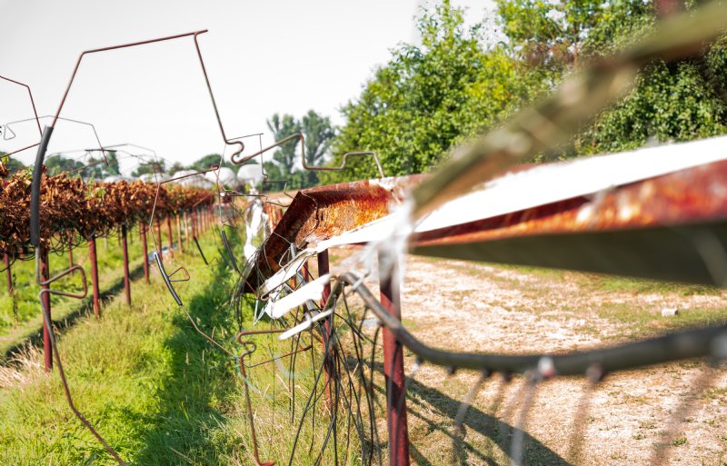 De schade na de storm was flink bij De Manderveense Aardbei.