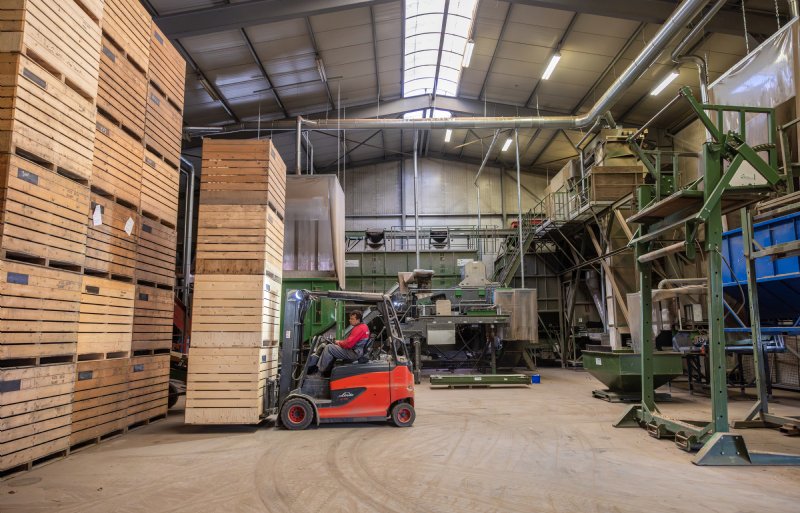 Akkerbouwer Theo Vos pakt met zijn heftruck vier kisten tegelijkertijd.