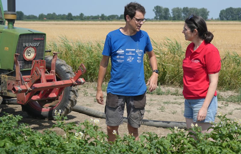 De gewassen van David de Wit profiteren van de oude kracht uit de bodem.