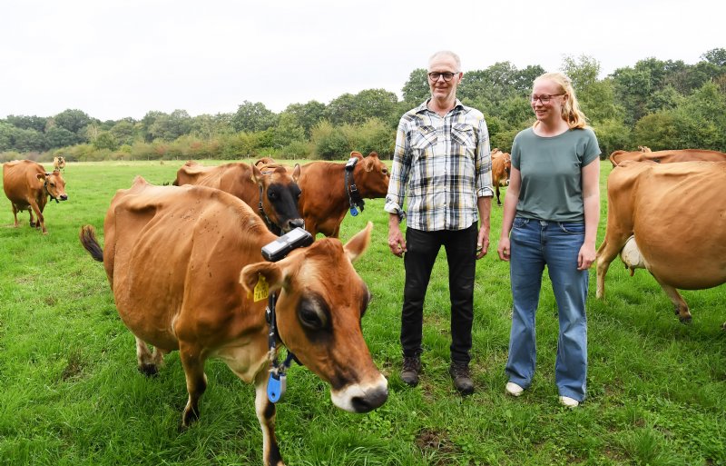 Sjaak en Irma Sprangers houden 70 Jersey-koeien met bijbehorend jongvee op 70 hectare gras in Kaatsheuvel, Noord-Brabant.