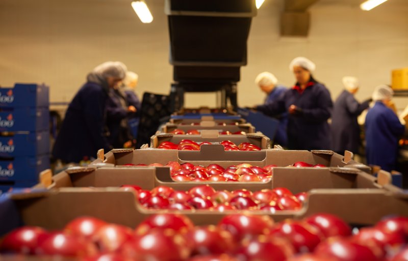 Rabo kan de verpakking en productpresentatie aan specifieke afnemerseisen aanpassen.