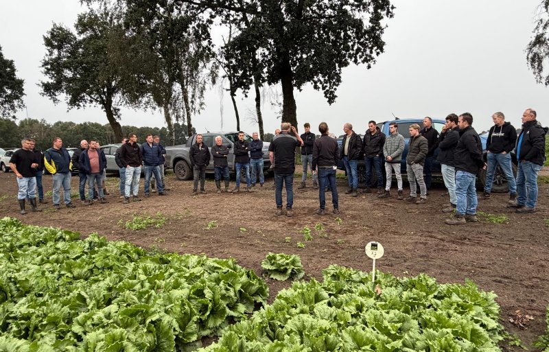 Op het perceel van Eldorado Agro werd tijdens het veldbezoek duidelijk wat de uitdagingen zijn.