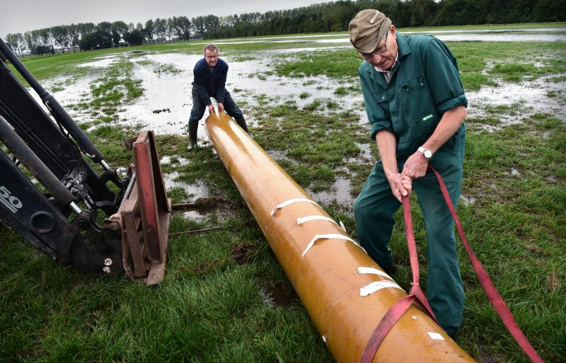 Boeren zetten een weiland onder water tijdens een eerdere muizenplaag.
