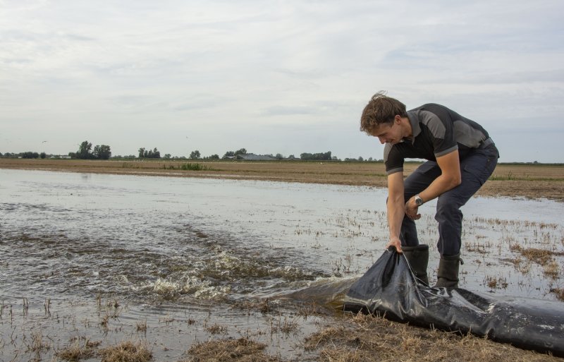 Bedrijfsleider Sander Stuij bevloeit een perceel tegen de muizen.