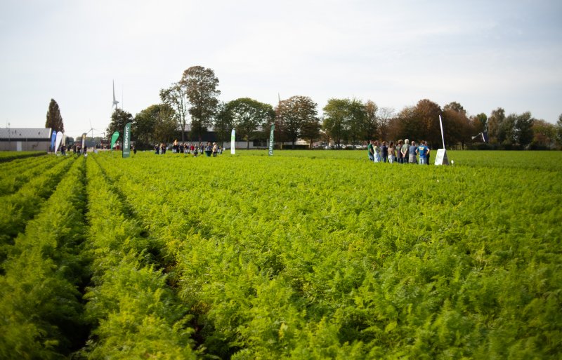 De Nationale Peen Manifestatie in het Flevolandse Lelystad vond plaats op woensdag 7 oktober.