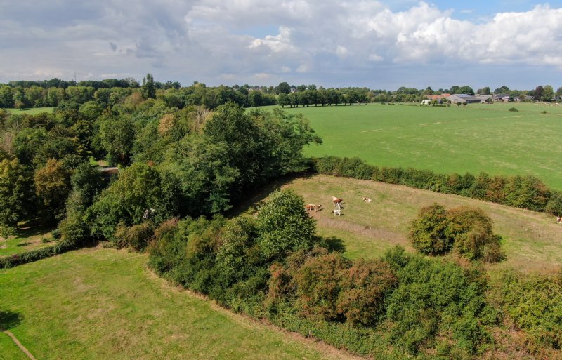 Melkvee nabij Natura 2000-gebied Savelsbos in Zuid-Limburg, middenin een van de voorlopige zoneringsgebieden.