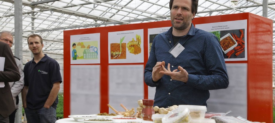 kaktus der alles nachspricht Sprechender Kaktus