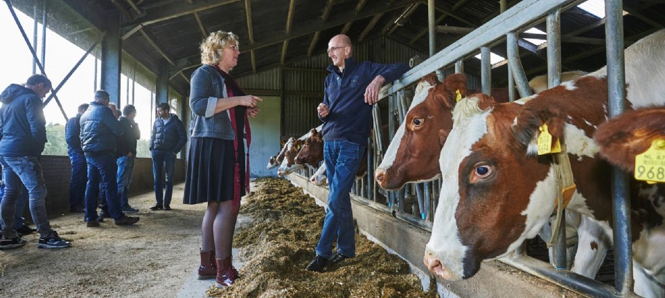 Brabantse Veehouder Wil Weten Waar Die Aan Toe Is - Nieuwe Oogst