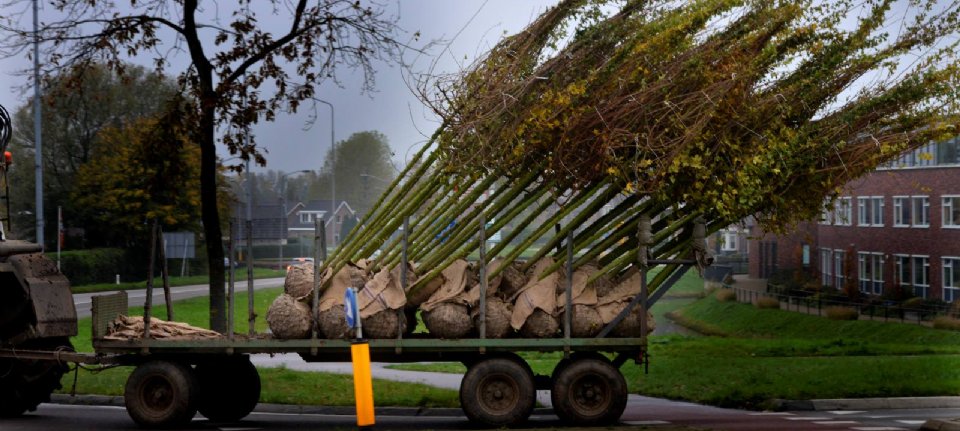 Kluit aan boom gevrijwaard van extra eisen PFAS - Nieuwe Oogst