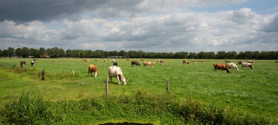 Kavelruil Dalfsen-Ommen 2 trekt 38 deelnemers - Nieuwe Oogst