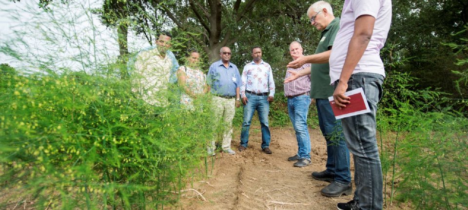 Limburgs project impuls voor agrarisch onderwijs Ethiopië