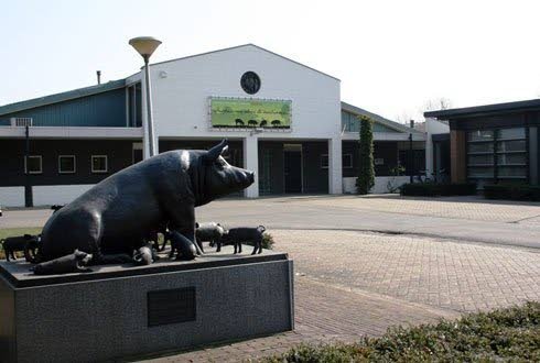 VIC Sterksel wellicht opnieuw in etalage