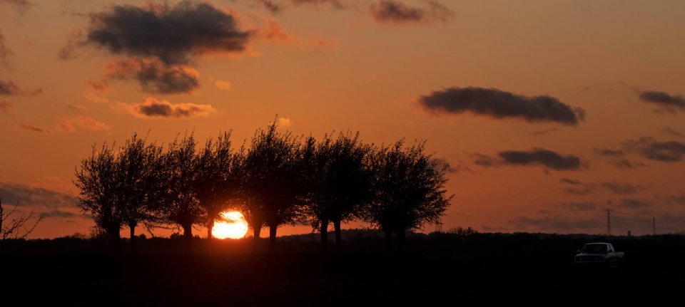 2019 Was Op Twee Na Warmste Jaar Ooit Nieuwe Oogst