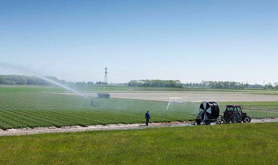 LTO Noord eist harde garanties zoetwatercapaciteit - NieuweOogst.nu