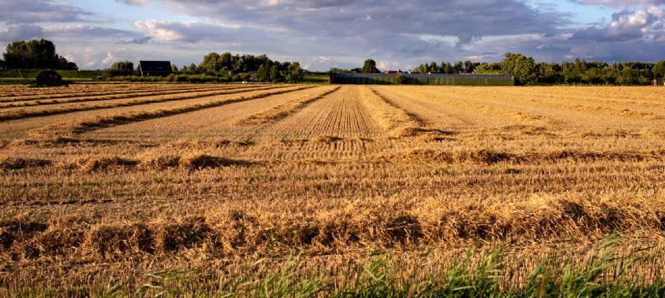 Large parts of Brabant become Van Gogh National Park