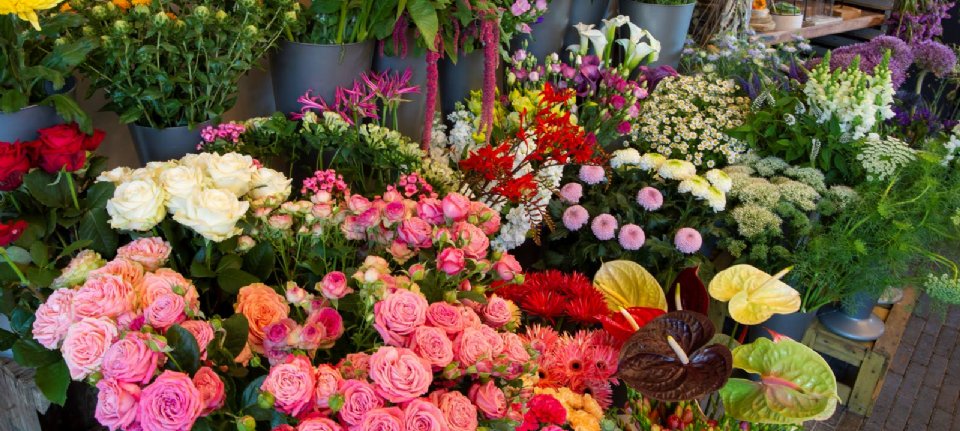 geleidelijk Verzakking buste Consumenten kopen na coronacrisis meer bloemen online - Nieuwe Oogst