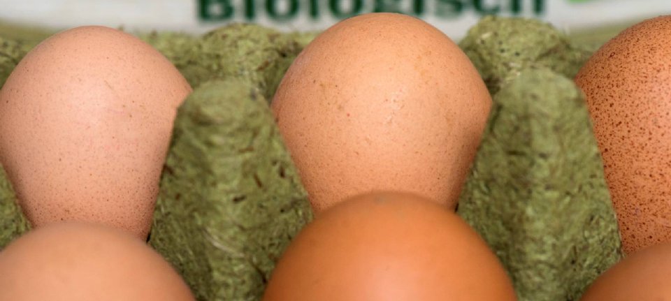 Plaats Tips Belachelijk Kosten biologisch ei stijgen sneller dan prijs - Nieuwe Oogst