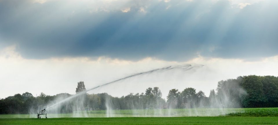 Waakzaamheid twee Markeer Voor het eerst beperkingen op grondwater rond Veluwe - Nieuwe Oogst