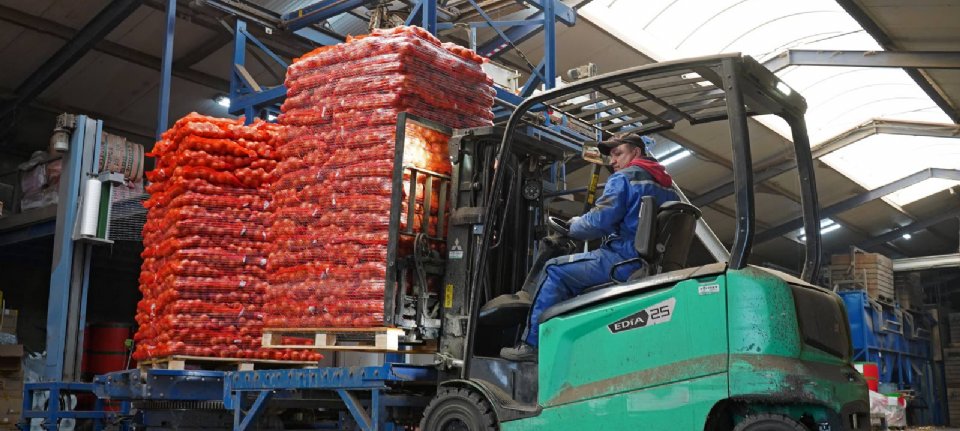 Minggu ke-9 counter ekspor bawang merah sudah 1 juta ton