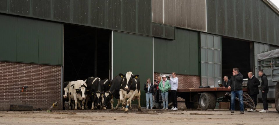 Farmer’s son Tim strictly uses YouTuber Gio for a vlog about cow dance