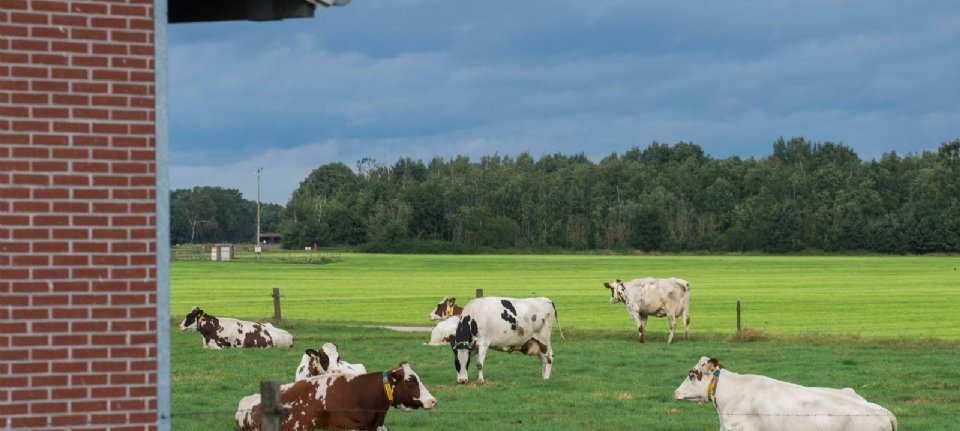 Un approccio a lungo termine alla resistenza agli antibiotici – Nieuwe Oogst