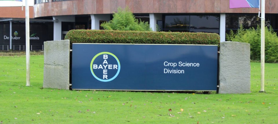 Bayer setzt die deutsche Regierung mit einer Glyphosat-Petition unter Druck