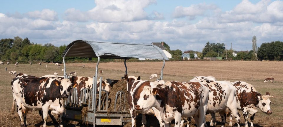 Les agriculteurs français vont quand même voter Macron