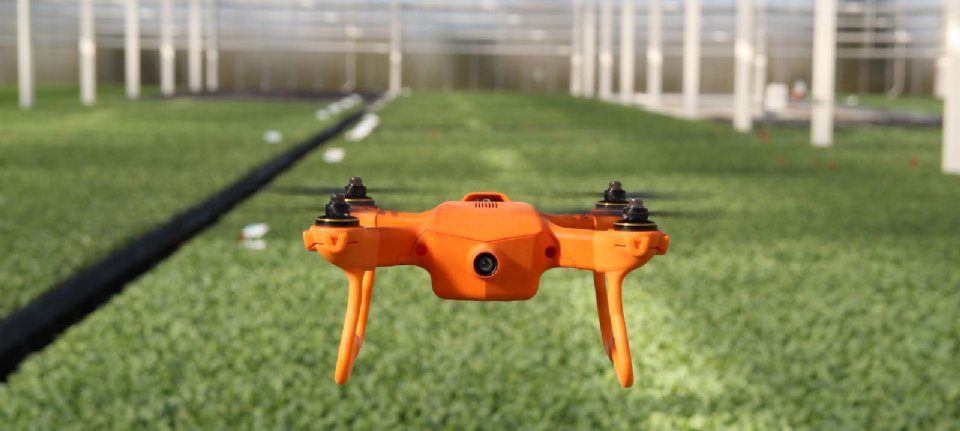 Drone scant alle planten in - Nieuwe Oogst