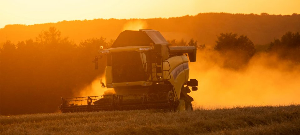 Россия установила рекорд по урожаю пшеницы
