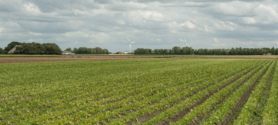 Gemiddelde Agrarische Grondprijs In Derde Kwartaal Flink Gestegen