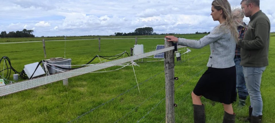 Nestleder Femke Wiersma synes bondens emigrasjonsplaner er «forferdelige»