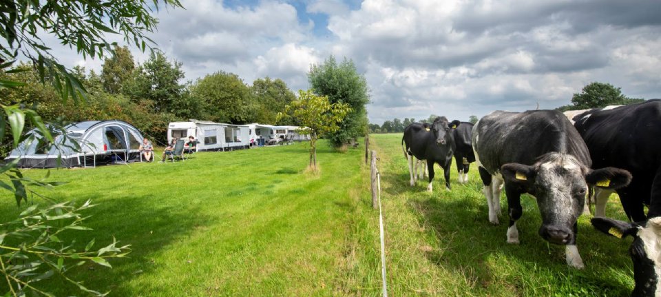 Farm camping is often without a farm – Nieuwe Oogst