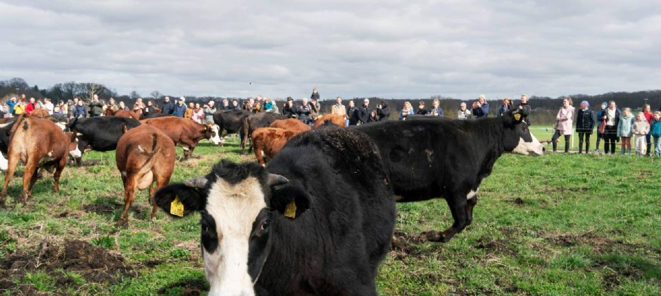 Voorjaar: nieuw leven en adrenaline - Nieuwe Oogst