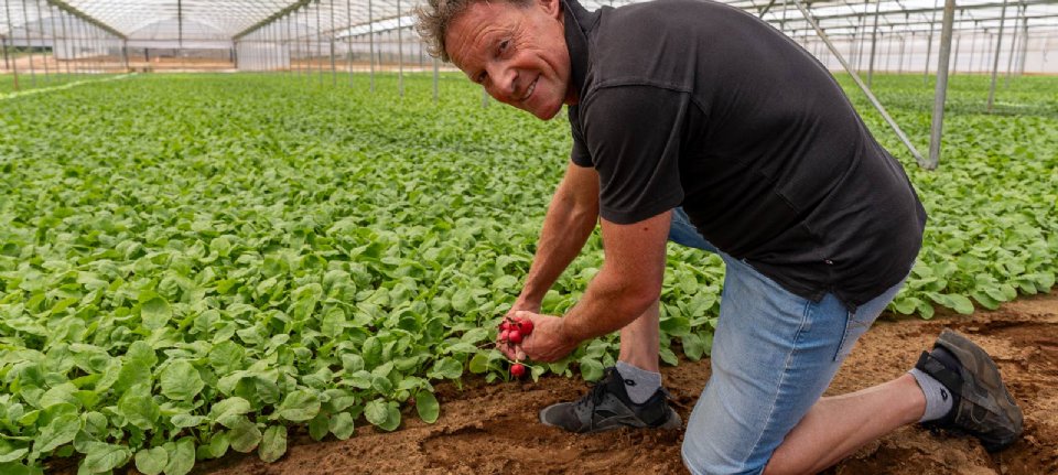 “Possiamo sempre riempire a metà i terreni agricoli con le serre”