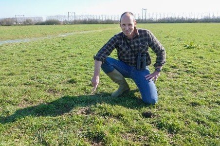 Eerste kievitsei van 2026 op graslandperceel in Ravenstein